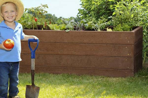 raised beds